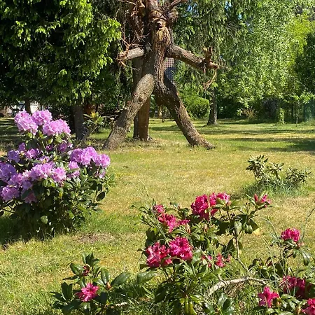 Haus Zum Gbr Πανσιόν